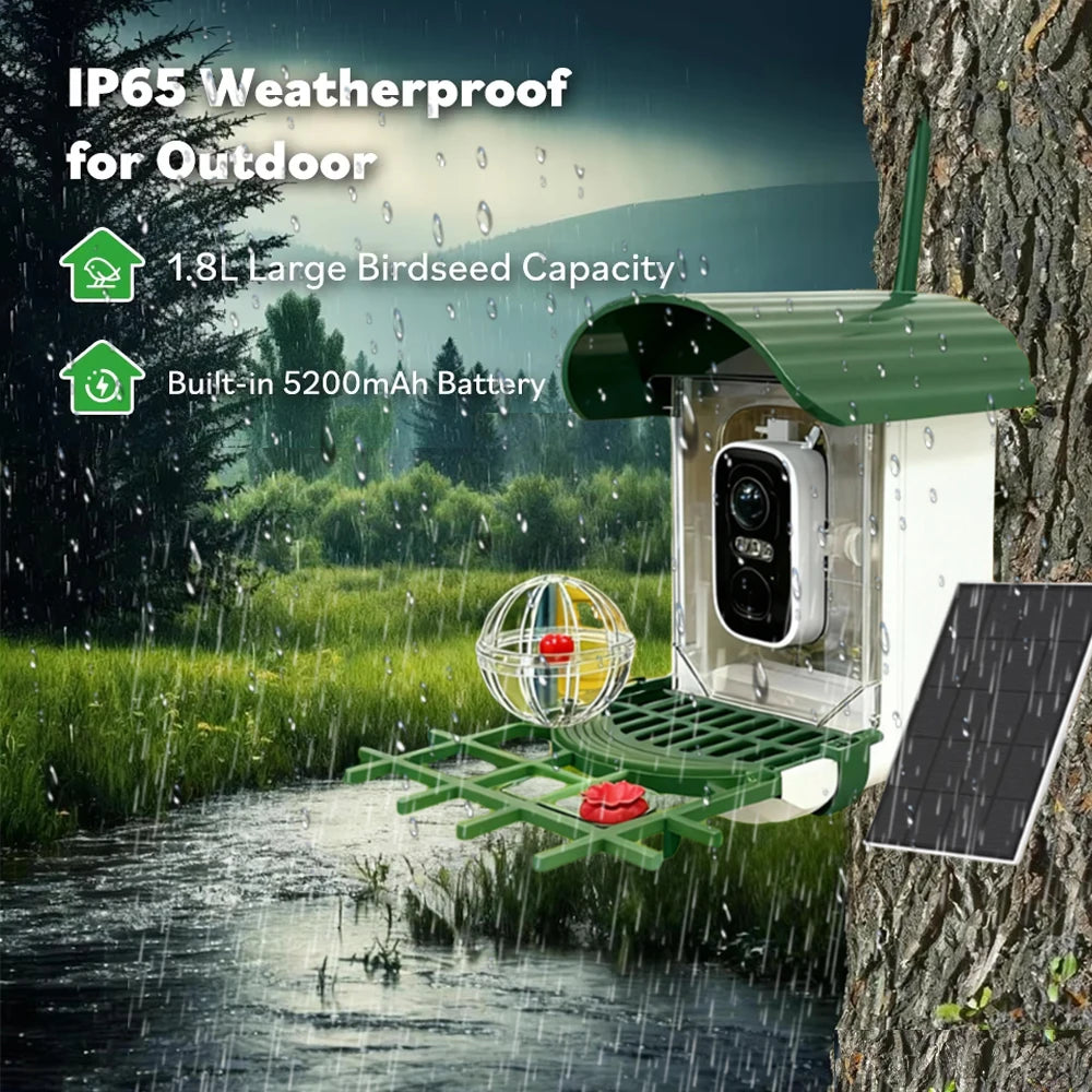 Câmera Solar 5MP WiFi para Comedouro de Pássaros com Visão Noturna HD e Alertas