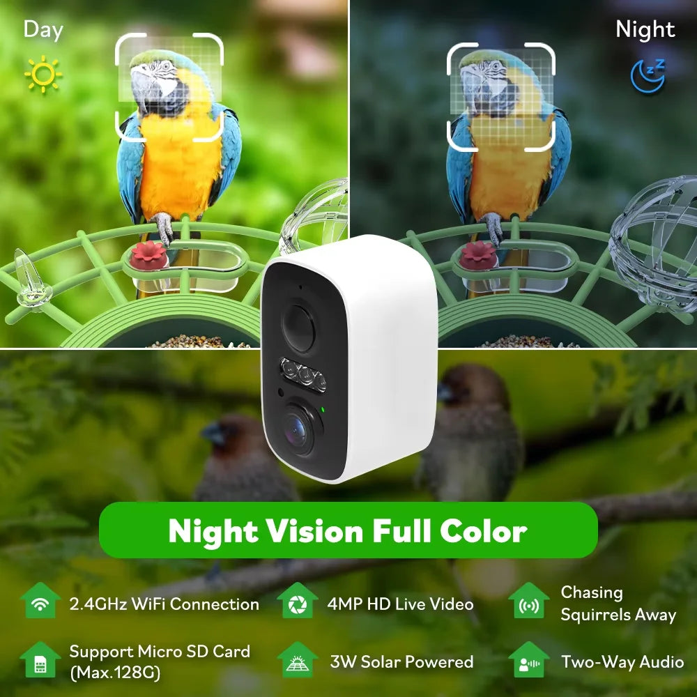 Câmera Solar 5MP WiFi para Comedouro de Pássaros com Visão Noturna HD e Alertas