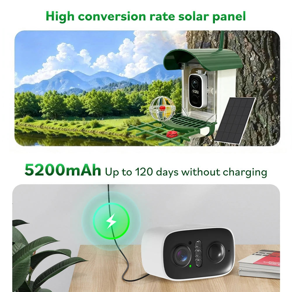 Câmera Solar 5MP WiFi para Comedouro de Pássaros com Visão Noturna HD e Alertas